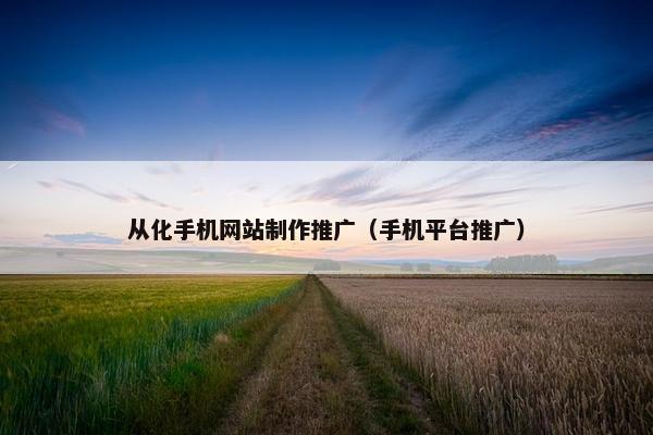 从化手机网站制作推广（手机平台推广）