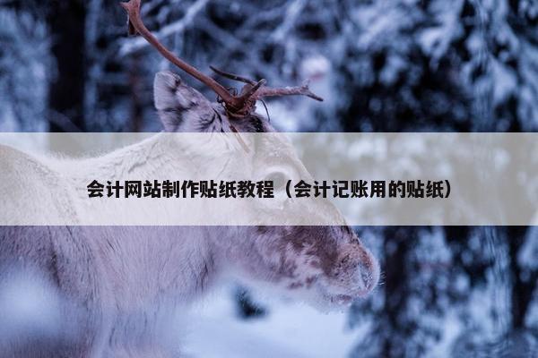 会计网站制作贴纸教程（会计记账用的贴纸）