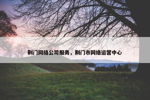 荆门网络公司服务，荆门市网络运营中心