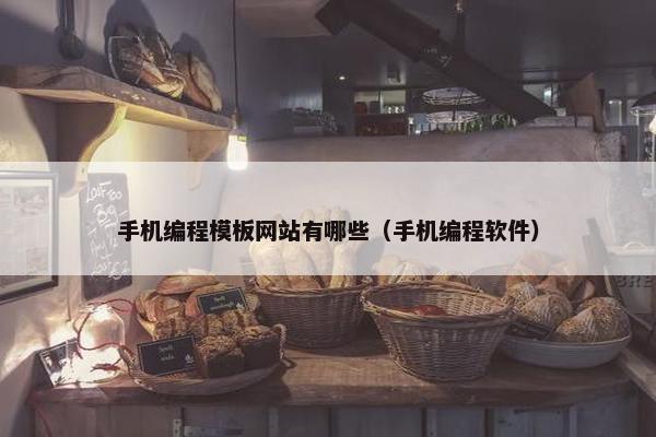 手机编程模板网站有哪些（手机编程软件）