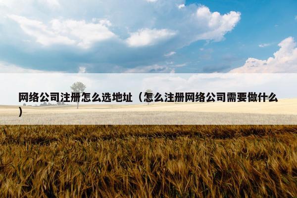网络公司注册怎么选地址（怎么注册网络公司需要做什么）