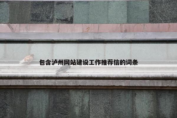 包含泸州网站建设工作推荐信的词条