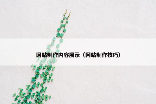 网站制作内容展示（网站制作技巧）