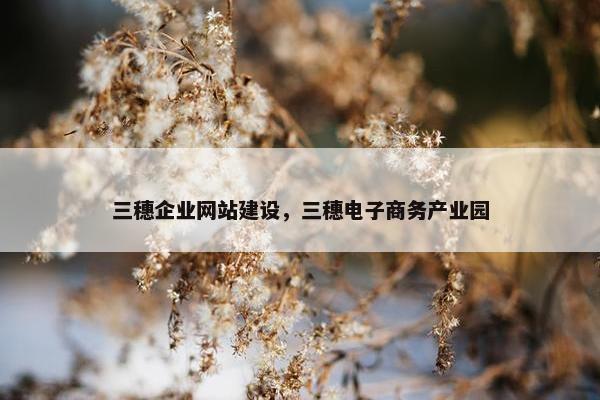 三穗企业网站建设，三穗电子商务产业园