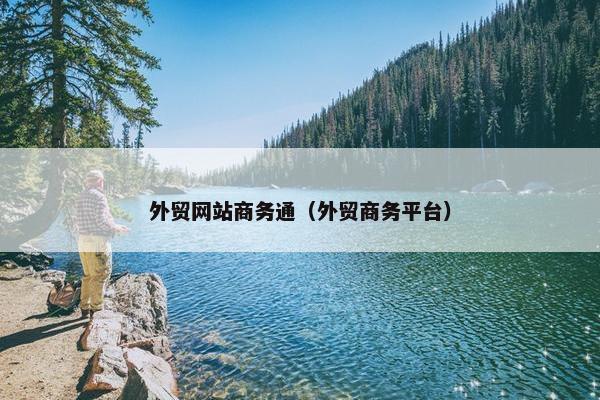 外贸网站商务通（外贸商务平台）