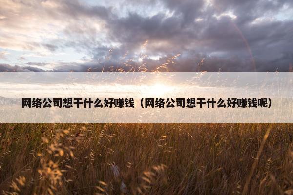 网络公司想干什么好赚钱（网络公司想干什么好赚钱呢）
