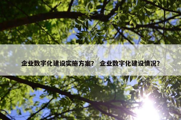 企业数字化建设实施方案？ 企业数字化建设情况？