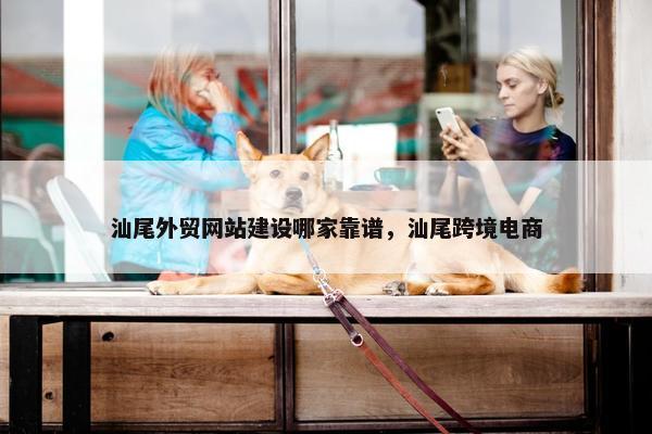 汕尾外贸网站建设哪家靠谱，汕尾跨境电商