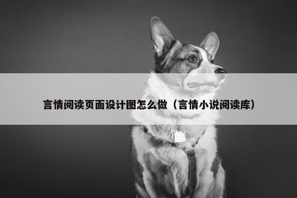 言情阅读页面设计图怎么做（言情小说阅读库）