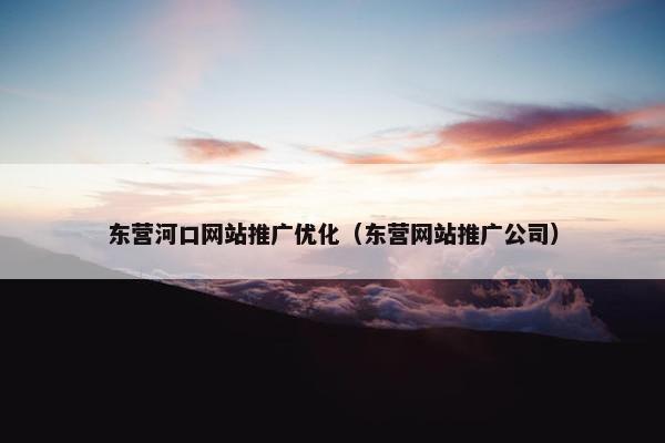 东营河口网站推广优化（东营网站推广公司）