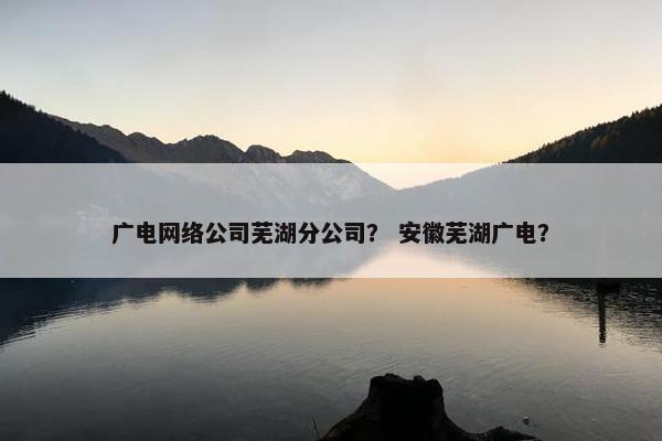 广电网络公司芜湖分公司？ 安徽芜湖广电？