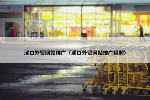 溪口外贸网站推广（溪口外贸网站推广招聘）