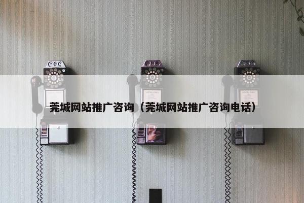 莞城网站推广咨询（莞城网站推广咨询电话）