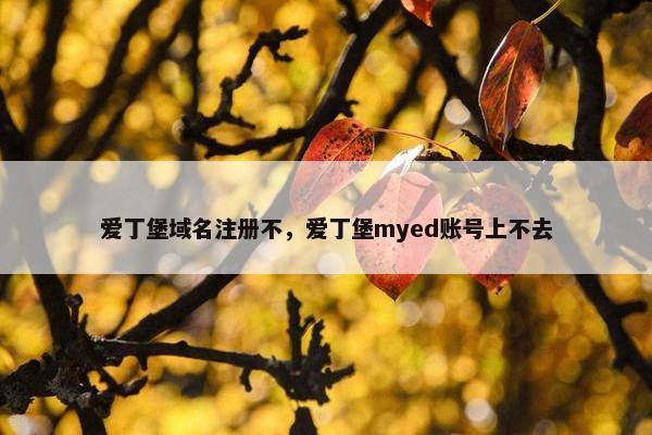 爱丁堡域名注册不，爱丁堡myed账号上不去
