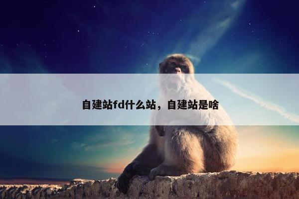 自建站fd什么站，自建站是啥