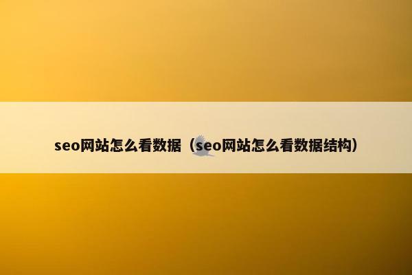 seo网站怎么看数据（seo网站怎么看数据结构）