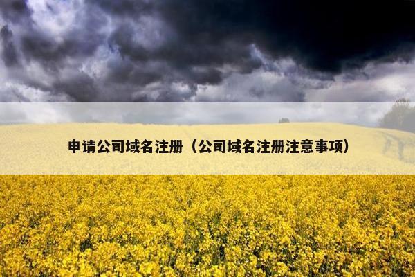 申请公司域名注册（公司域名注册注意事项）