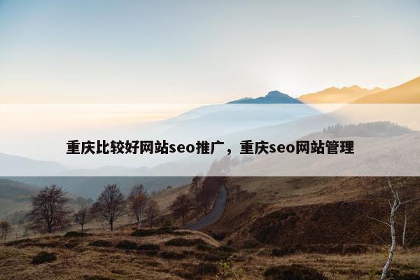重庆比较好网站seo推广，重庆seo网站管理