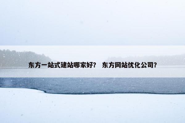 东方一站式建站哪家好？ 东方网站优化公司？