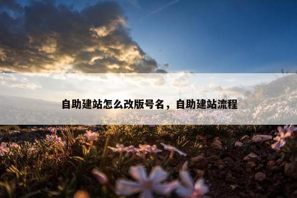 自助建站怎么改版号名，自助建站流程