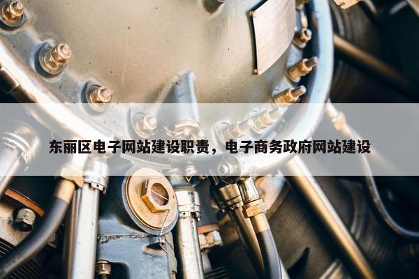 东丽区电子网站建设职责，电子商务政府网站建设