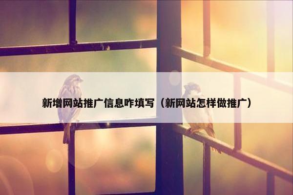 新增网站推广信息咋填写（新网站怎样做推广）