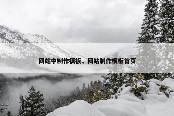 网站中制作模板，网站制作模板首页