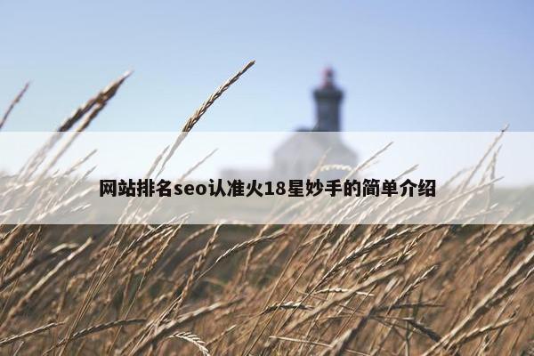 网站排名seo认准火18星妙手的简单介绍