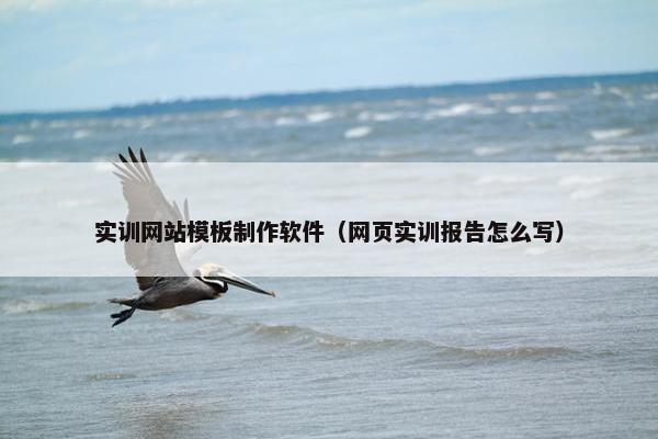 实训网站模板制作软件（网页实训报告怎么写）
