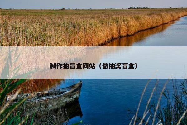 制作抽盲盒网站（做抽奖盲盒）
