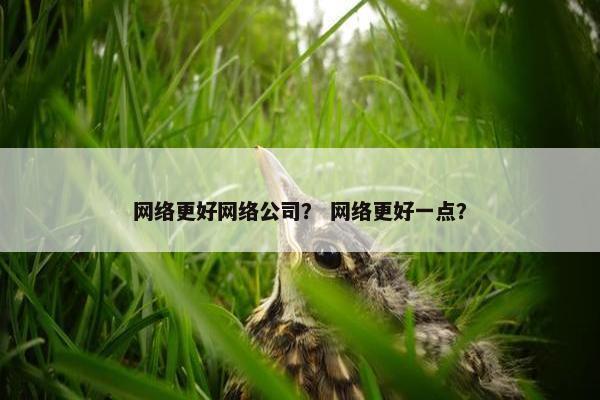 网络更好网络公司？ 网络更好一点？