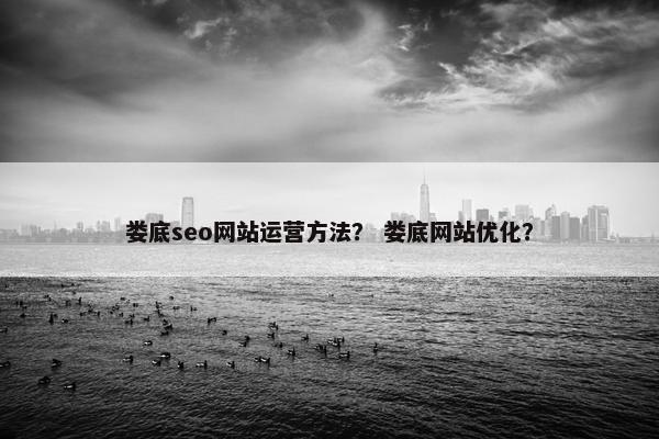 娄底seo网站运营方法？ 娄底网站优化？