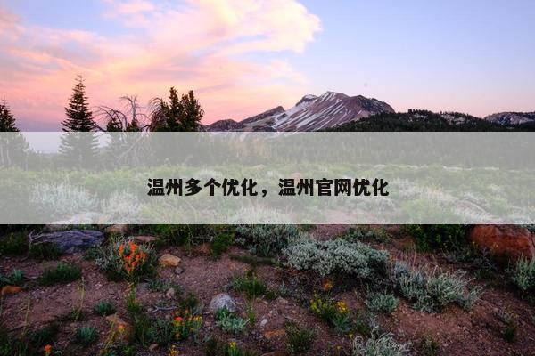 温州多个优化，温州官网优化