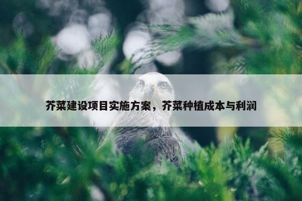 芥菜建设项目实施方案，芥菜种植成本与利润