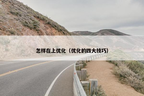 怎样在上优化（优化的四大技巧）