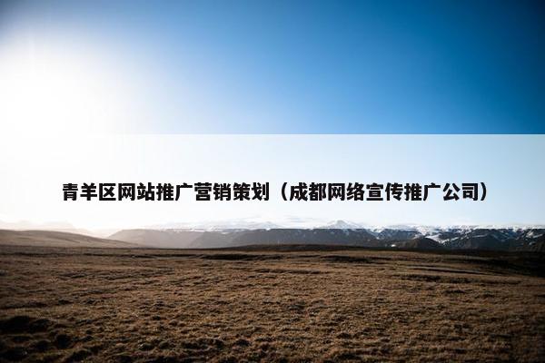 青羊区网站推广营销策划（成都网络宣传推广公司）