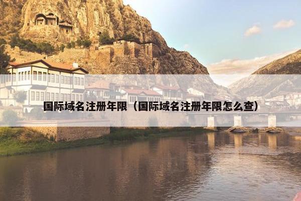 国际域名注册年限（国际域名注册年限怎么查）