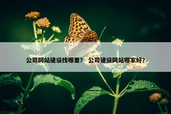 公司网站建设找哪里？ 公司建设网站哪家好？