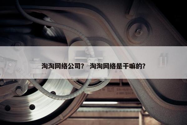 淘淘网络公司？ 淘淘网络是干嘛的？