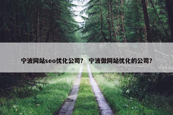 宁波网站seo优化公司？ 宁波做网站优化的公司？