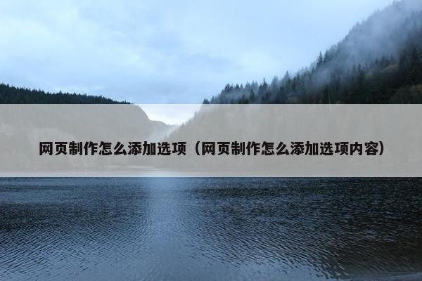 网页制作怎么添加选项（网页制作怎么添加选项内容）