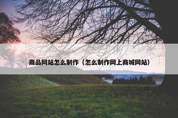 商品网站怎么制作（怎么制作网上商城网站）