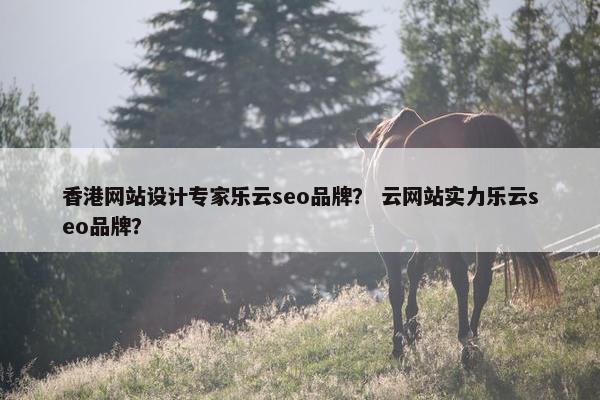 香港网站设计专家乐云seo品牌？ 云网站实力乐云seo品牌？