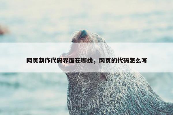 网页制作代码界面在哪找，网页的代码怎么写