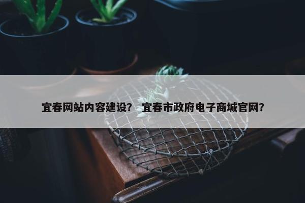 宜春网站内容建设？ 宜春市政府电子商城官网？