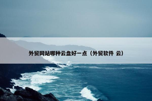 外贸网站哪种云盘好一点（外贸软件 云）