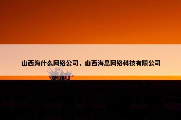山西海什么网络公司，山西海思网络科技有限公司