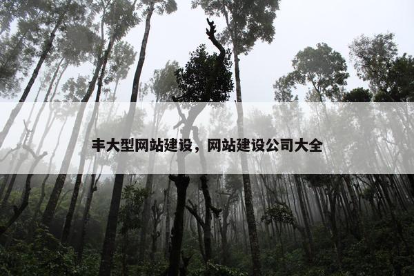 丰大型网站建设，网站建设公司大全