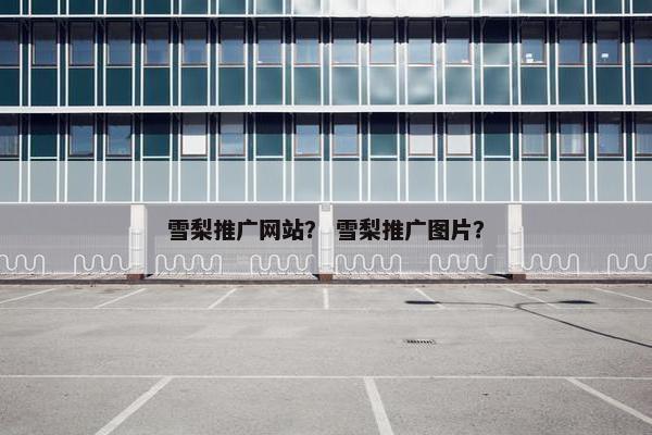 雪梨推广网站？ 雪梨推广图片？
