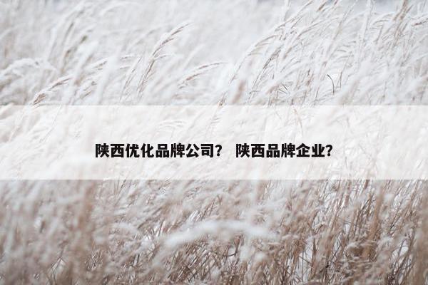 陕西优化品牌公司？ 陕西品牌企业？
